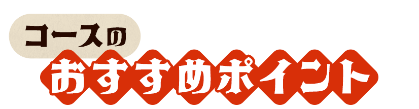 コースのおすすめポイント